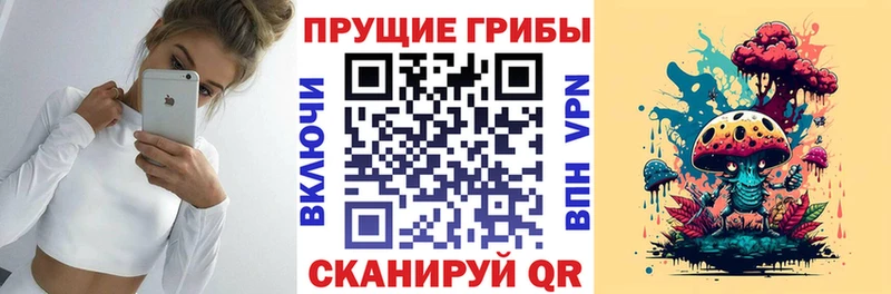 Галлюциногенные грибы Psilocybe  Златоуст 
